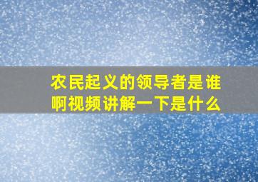 农民起义的领导者是谁啊视频讲解一下是什么