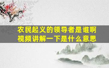 农民起义的领导者是谁啊视频讲解一下是什么意思