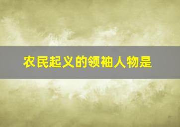 农民起义的领袖人物是