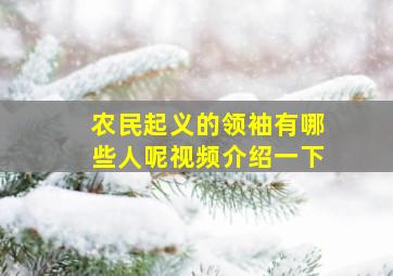 农民起义的领袖有哪些人呢视频介绍一下