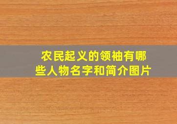 农民起义的领袖有哪些人物名字和简介图片