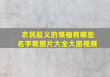 农民起义的领袖有哪些名字呢图片大全大图视频