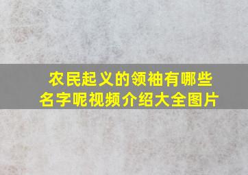 农民起义的领袖有哪些名字呢视频介绍大全图片