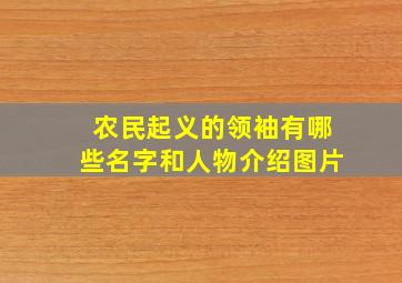 农民起义的领袖有哪些名字和人物介绍图片