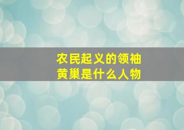 农民起义的领袖黄巢是什么人物