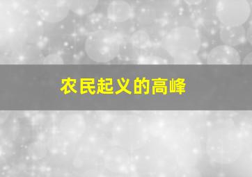 农民起义的高峰