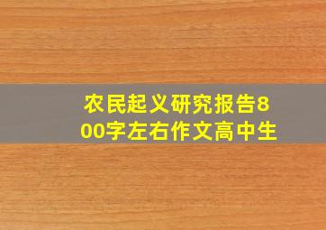 农民起义研究报告800字左右作文高中生