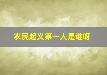 农民起义第一人是谁呀