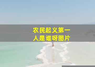 农民起义第一人是谁呀图片