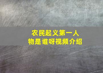 农民起义第一人物是谁呀视频介绍