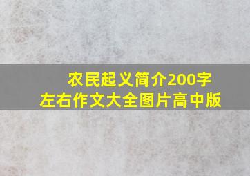 农民起义简介200字左右作文大全图片高中版