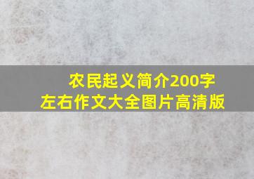 农民起义简介200字左右作文大全图片高清版