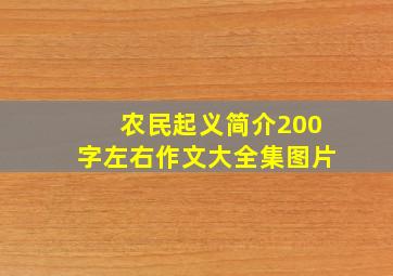 农民起义简介200字左右作文大全集图片