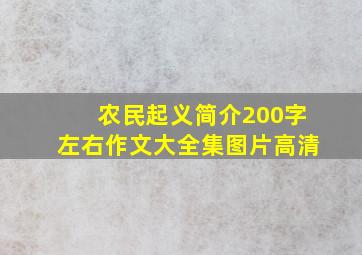 农民起义简介200字左右作文大全集图片高清