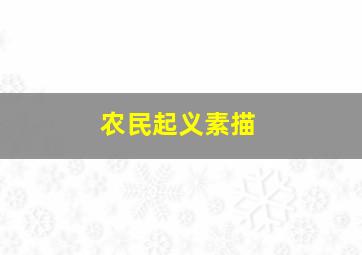 农民起义素描