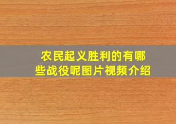 农民起义胜利的有哪些战役呢图片视频介绍