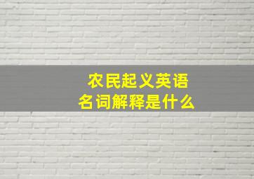 农民起义英语名词解释是什么