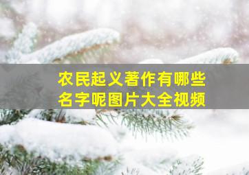 农民起义著作有哪些名字呢图片大全视频