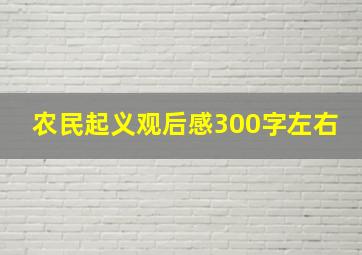 农民起义观后感300字左右