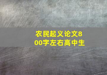 农民起义论文800字左右高中生