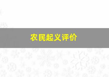 农民起义评价