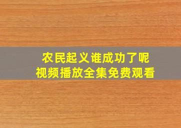 农民起义谁成功了呢视频播放全集免费观看