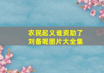 农民起义谁资助了刘备呢图片大全集