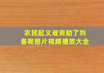 农民起义谁资助了刘备呢图片视频播放大全