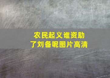 农民起义谁资助了刘备呢图片高清