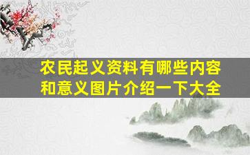 农民起义资料有哪些内容和意义图片介绍一下大全