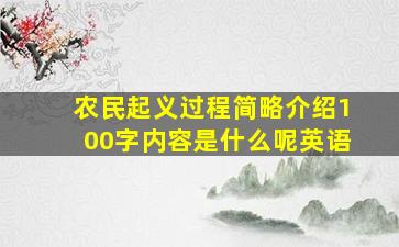 农民起义过程简略介绍100字内容是什么呢英语