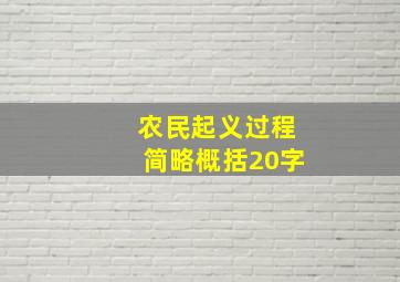 农民起义过程简略概括20字