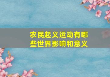 农民起义运动有哪些世界影响和意义