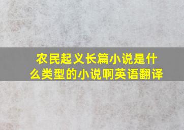 农民起义长篇小说是什么类型的小说啊英语翻译