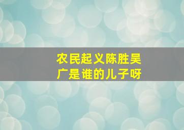 农民起义陈胜吴广是谁的儿子呀