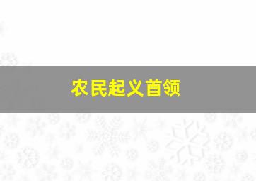 农民起义首领