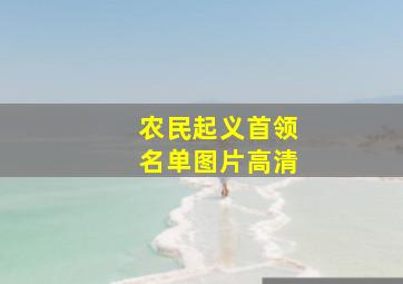 农民起义首领名单图片高清