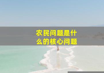 农民问题是什么的核心问题