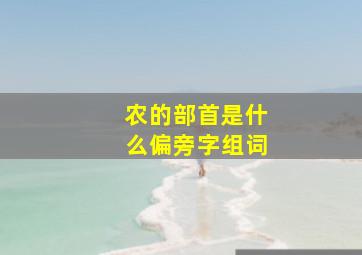 农的部首是什么偏旁字组词