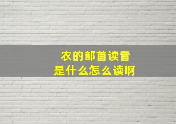 农的部首读音是什么怎么读啊