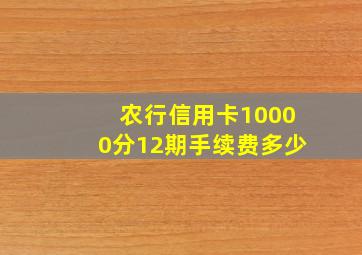 农行信用卡10000分12期手续费多少