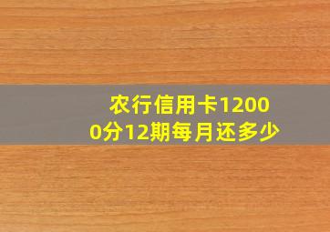 农行信用卡12000分12期每月还多少