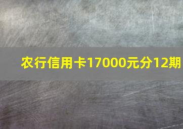 农行信用卡17000元分12期