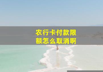 农行卡付款限额怎么取消啊