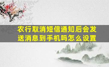 农行取消短信通知后会发送消息到手机吗怎么设置