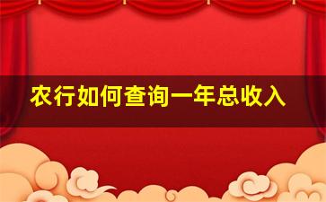 农行如何查询一年总收入