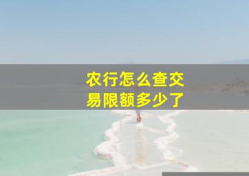 农行怎么查交易限额多少了