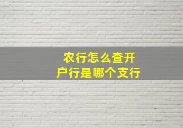 农行怎么查开户行是哪个支行