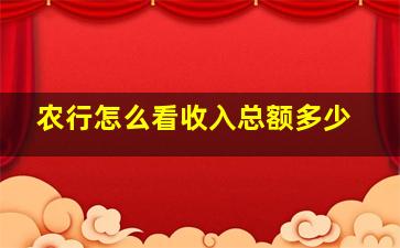 农行怎么看收入总额多少