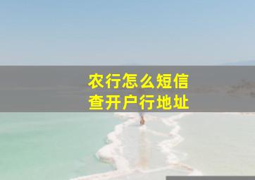 农行怎么短信查开户行地址